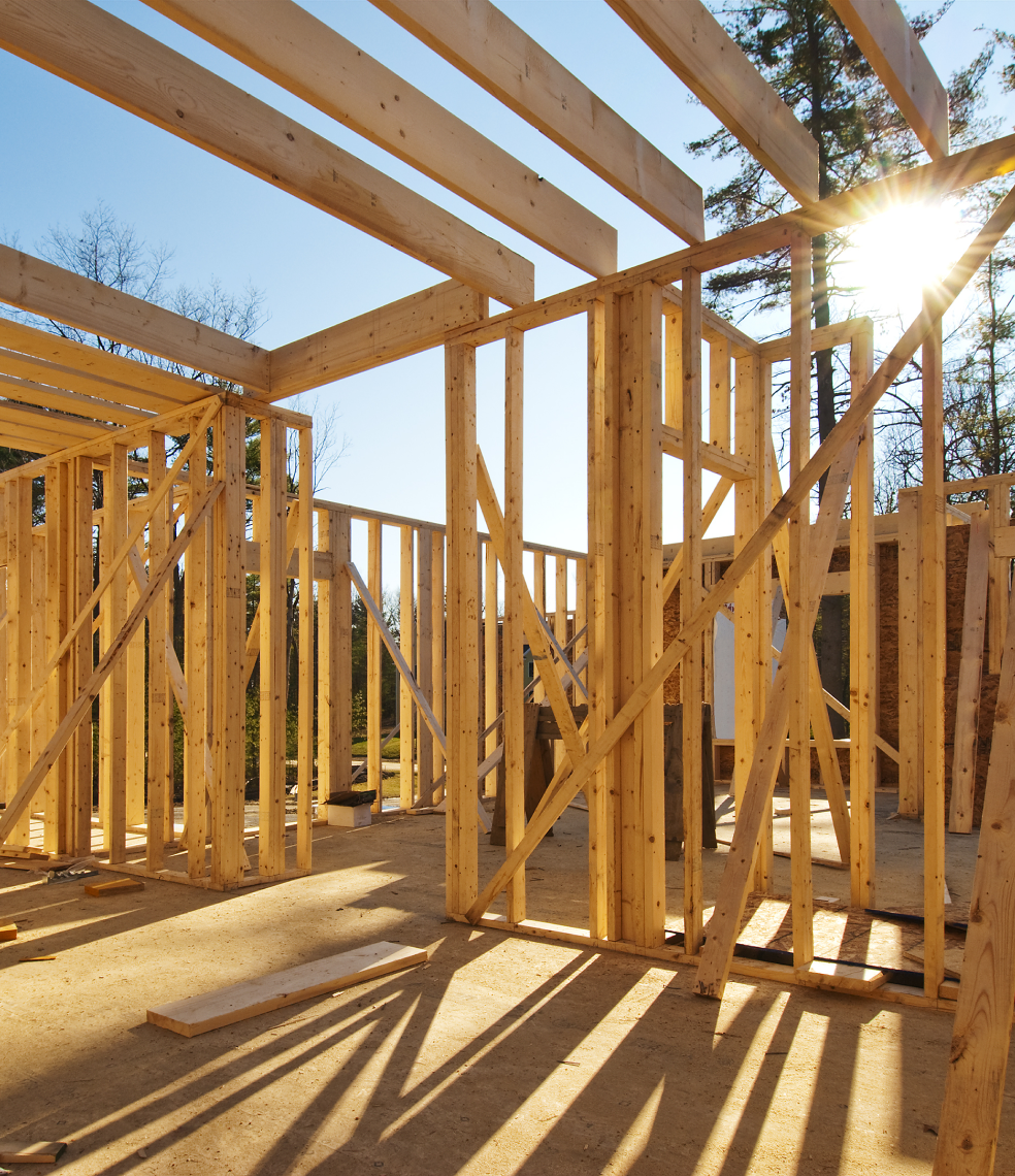 high quality timber